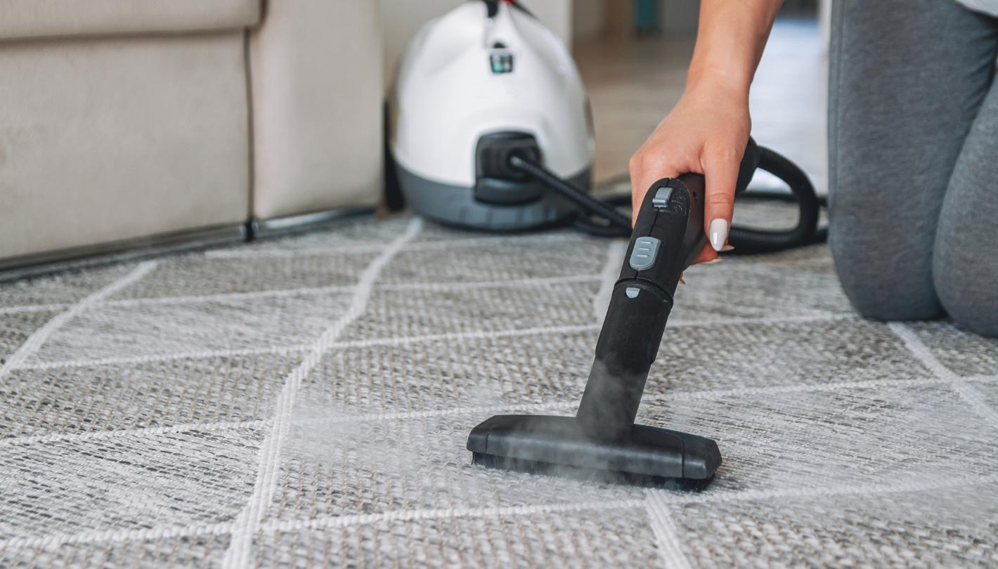 Eco Smada - Steam Cleaning Solutions